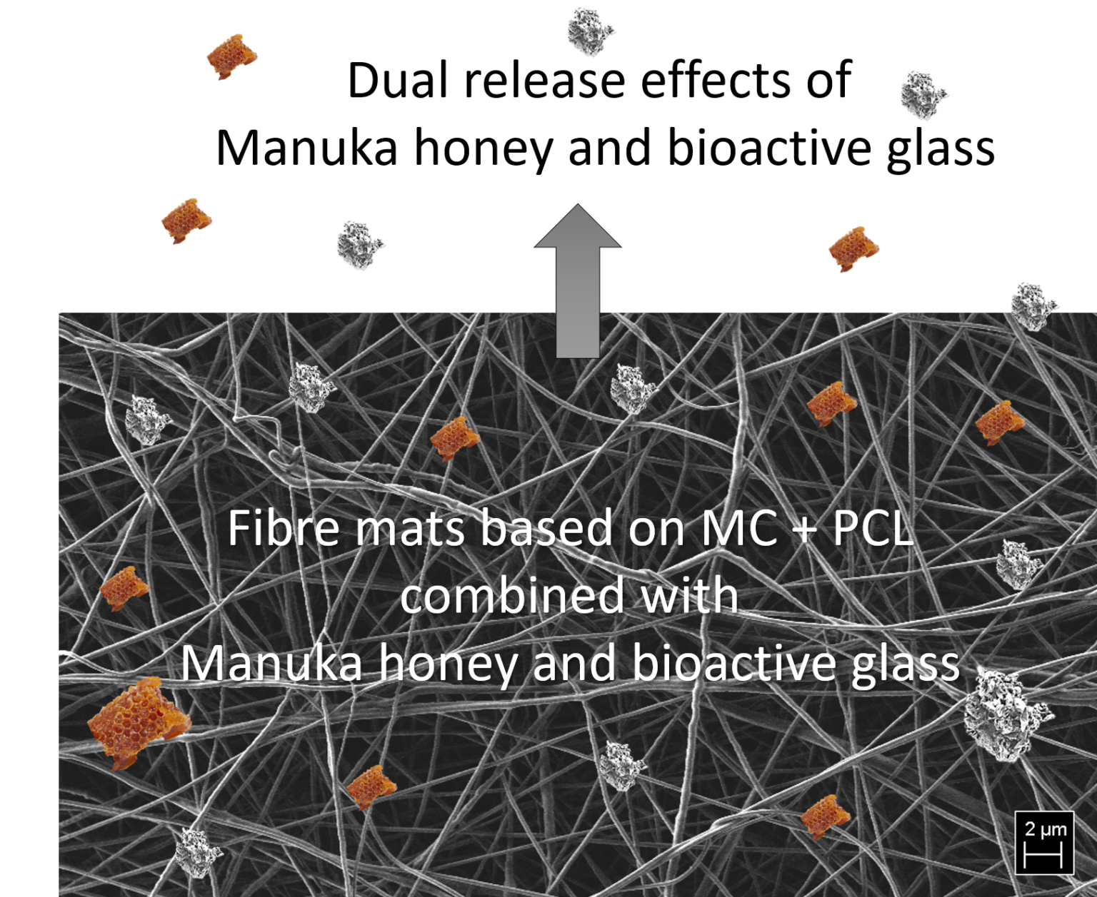 Polymer Fibres Containing Methylcellulose, Bioactive Glasses And Manuka ...